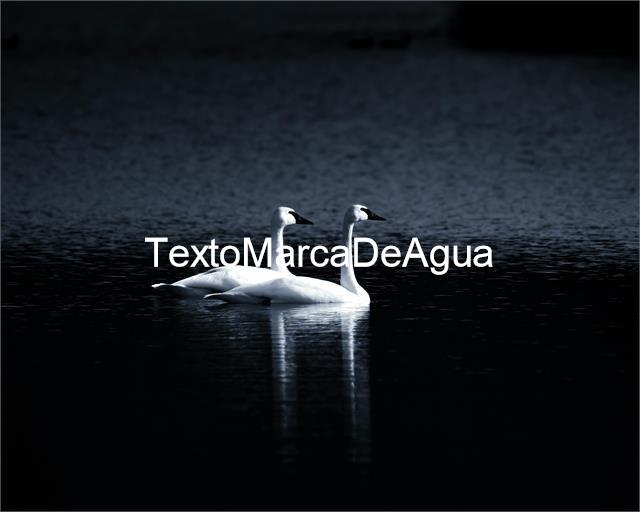 Foto 4 Añadir inmueble 1