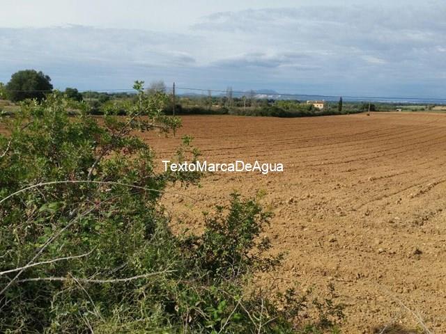 Terreno en alquiler para labradío - Vilagarcía de Arousa